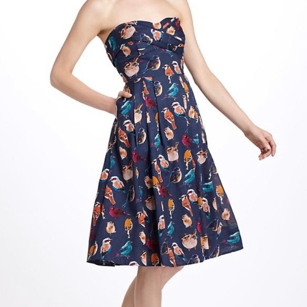 Anthropologie Maeve Native Birds dress